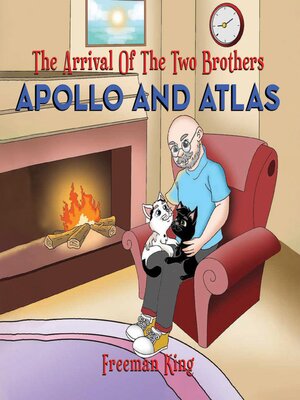 cover image of The Arrival of the Two Brothers